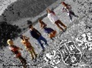 thumb-rbd-58203