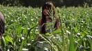 Hit The Lights Behind The Scenes 341