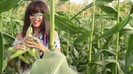 Hit The Lights Behind The Scenes 353
