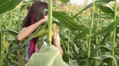 Hit The Lights Behind The Scenes 358