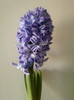 8 febr 2012 043