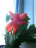 CIMG0029
