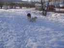 DSC03059