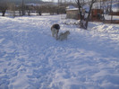 DSC03060