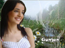 wwwforangelsonlyorg-sanaya-irani-wallpaper