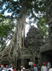 Templul Ta Prohm