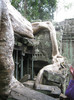 Templul Ta Prohm