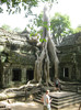 Templul Ta Prohm