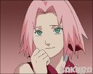 Shippuden_Sakura