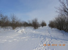DSCN1016