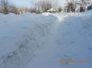 carare in gradina mea