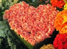 roses-valentine-wallpaper