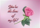 valentines_day_5