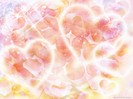 e8071293410d