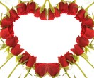 shutterstock_6665179