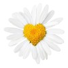 shutterstock_11657062