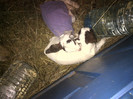 IMG-20120209-00010