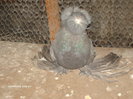 Picture 007