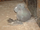 Picture 008