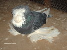 Picture 011