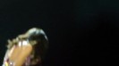 Selena Gomez Hit The Lights live O.C.Fair (7_24_11) [HD] 424