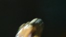Selena Gomez Hit The Lights live O.C.Fair (7_24_11) [HD] 425
