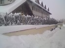 DSC01201