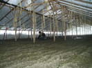 DSCF0980