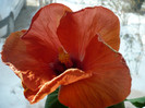 P1110539