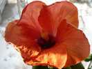 P1110540