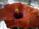 P1110543