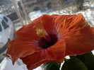 P1110544
