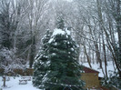 DSC08331