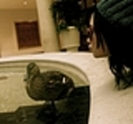 thumb_267