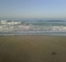 thumb_444