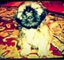 thumb_633
