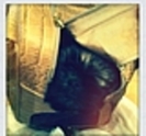 thumb_636