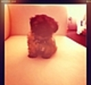 thumb_640