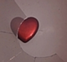 thumb_DLDCOM_1242