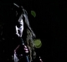 thumb_PDVD00103441