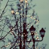 348426_15385514_ll_large