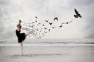 ballet,bird,black,dancing,art,birds-7bc94c5ef73437ab15f9017422b5cc67_h