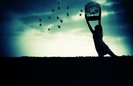 me,free,birds,blue,sky,-a7bd48b8d8c4300af47deb214fadc407_h