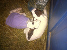 IMG-20120209-00011
