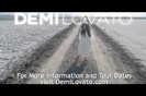 A Special Night with Demi Lovato 224