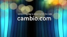 CAMBIO 1302
