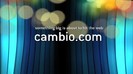 CAMBIO 1303