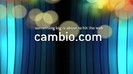 CAMBIO 1311