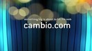 CAMBIO 1330