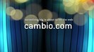 CAMBIO 1335